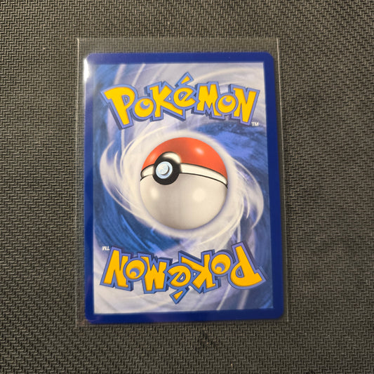 Flannery #191 Pokemon Chilling Reign