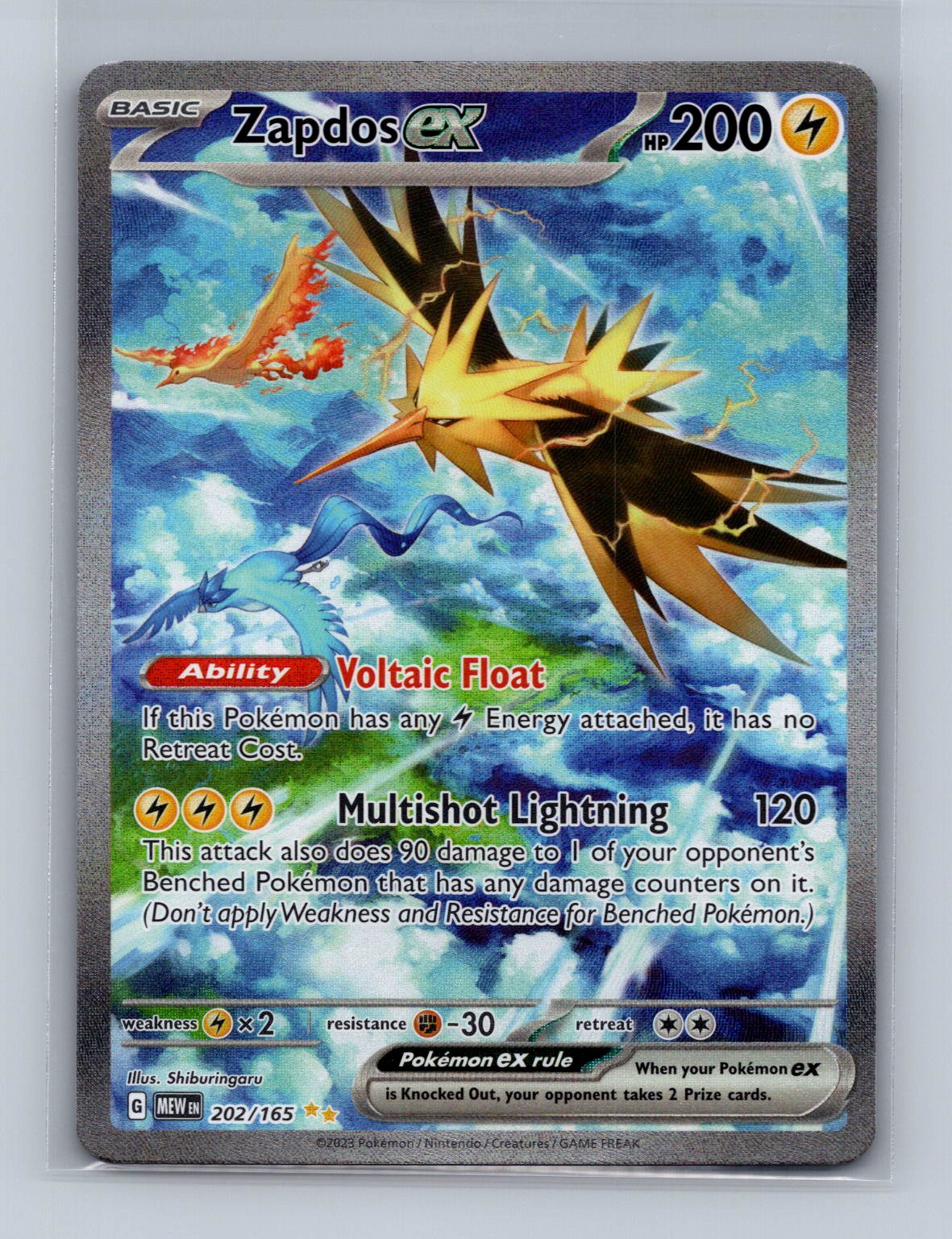 Zapdos #202