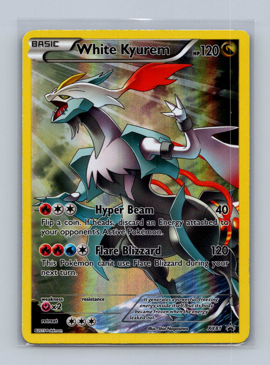 White Kyurem XY81