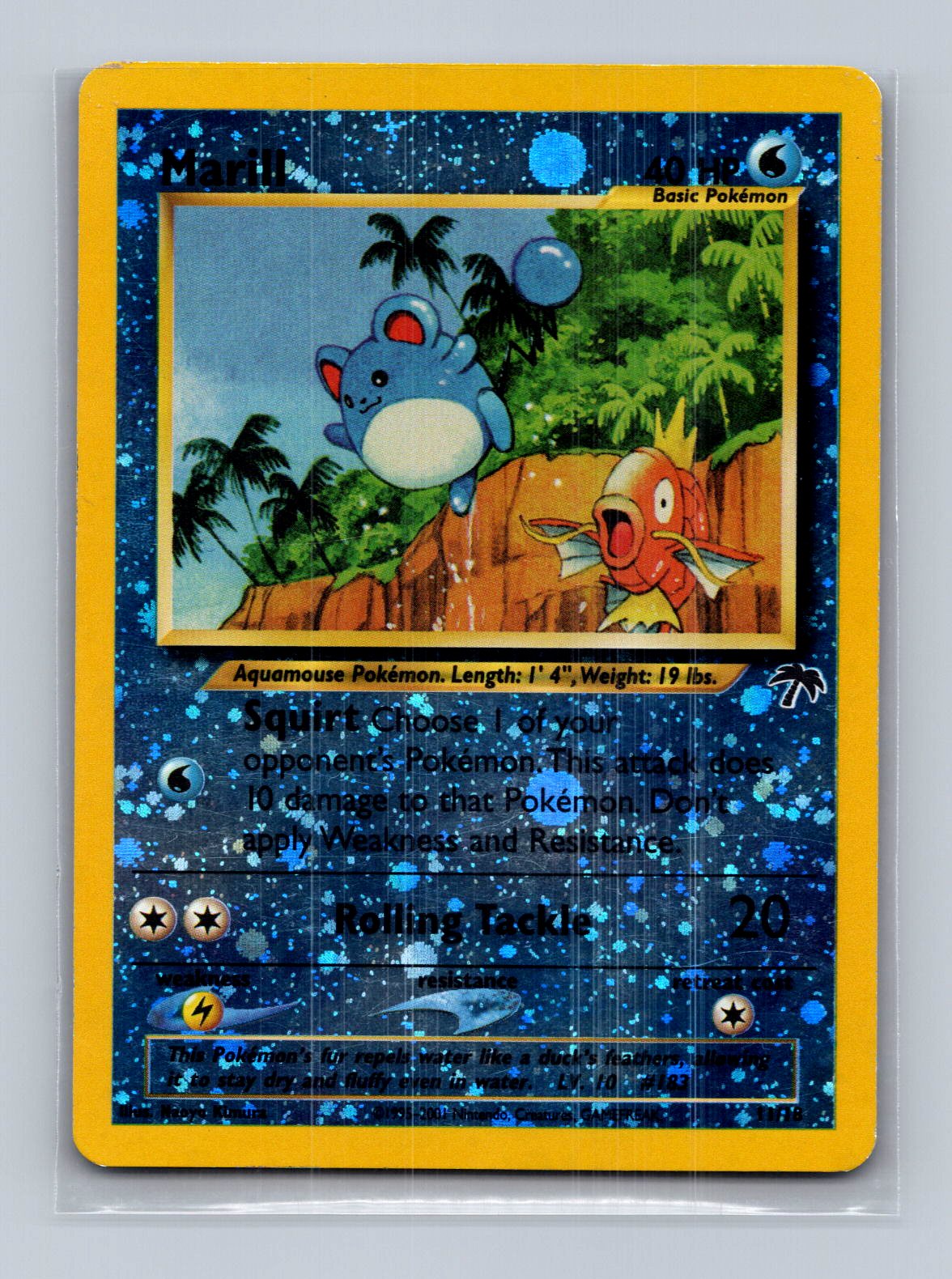 Marill Southern Islands