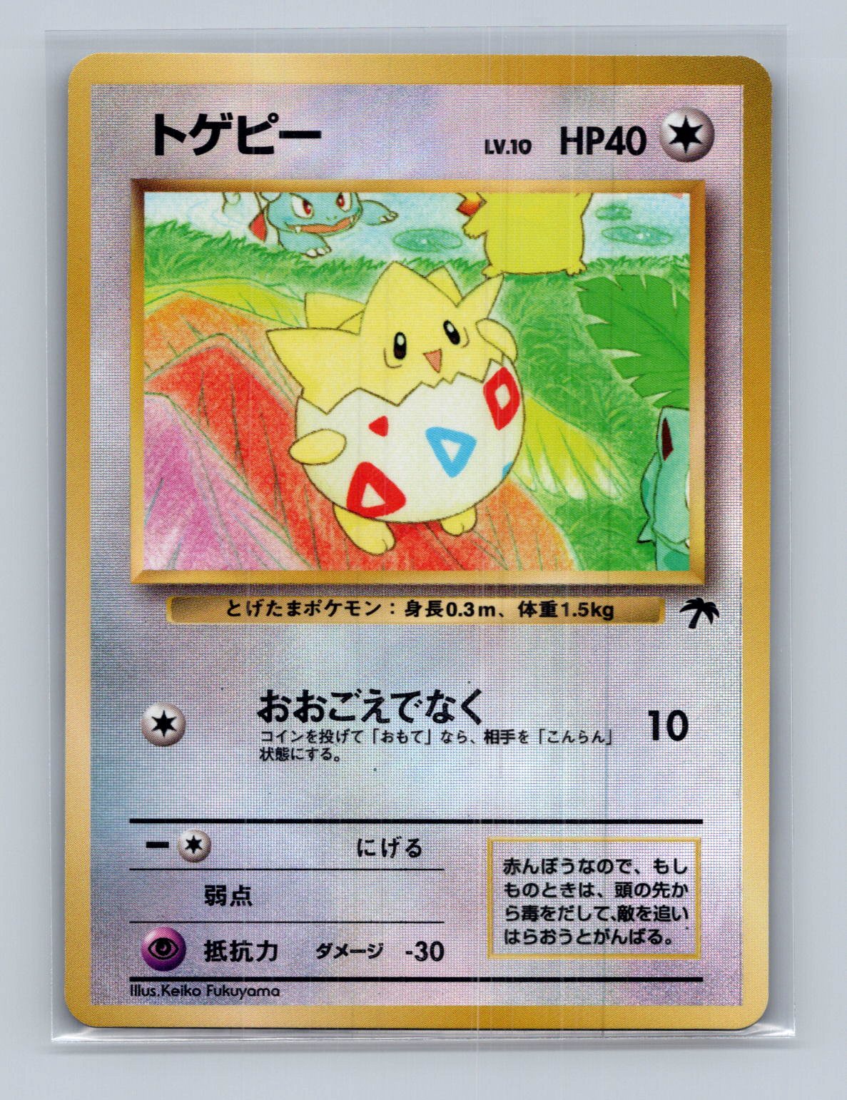 Togepi - Southern Island